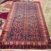 Vintage Khotan Rug - 5x8