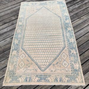 Antique Persian Rug - 4x7