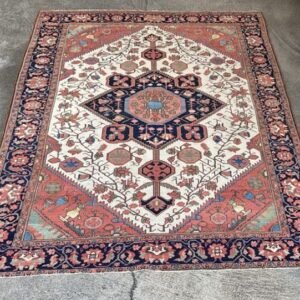 Rare Antique Malayer Rug | Ivory Field | 5x7