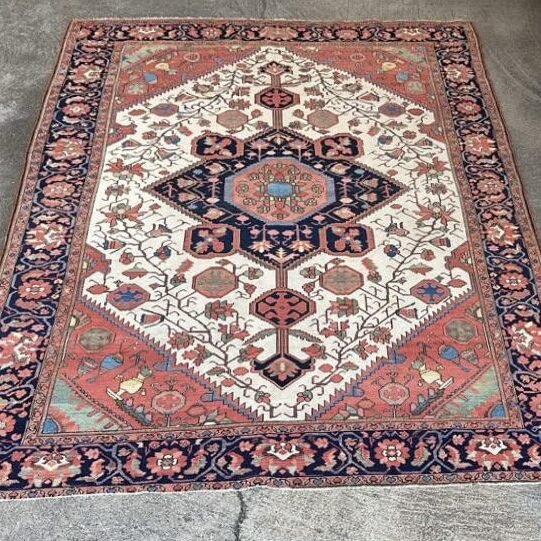 Rare Antique Malayer Rug | Ivory Field | 5x7
