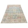 Antique Botanical Rug | Blue and Red Floral Motifs | 4x7
